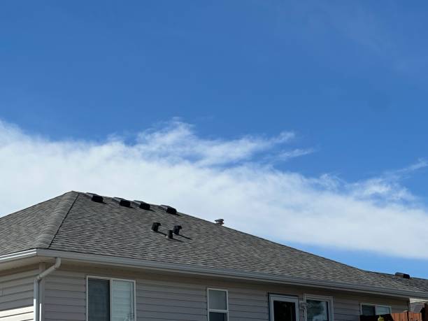 Fast & Reliable Emergency Roof Repairs in Eagle Grove, IA